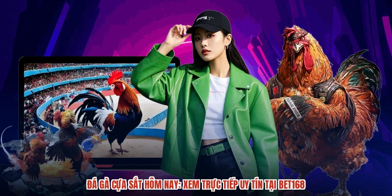 Đá Gà Cựa Sắt Hôm Nay: Xem Trực Tiếp Uy Tín Tại BET168
