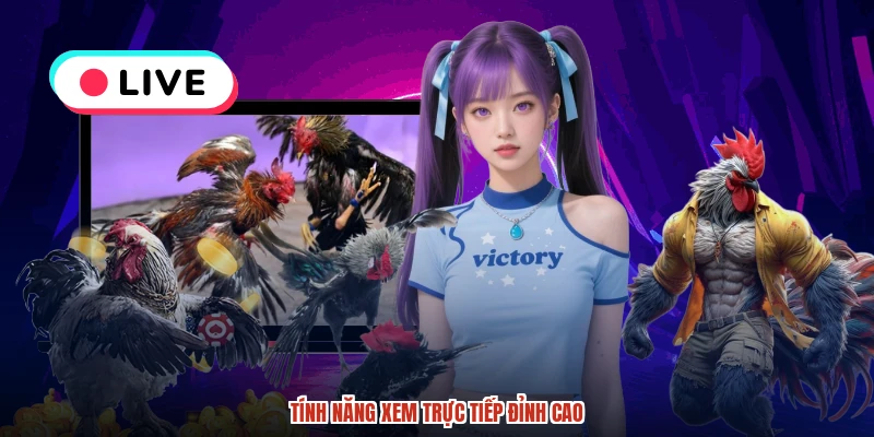 Tính năng xem trực tiếp đỉnh cao Tính năng xem trực tiếp đỉnh cao